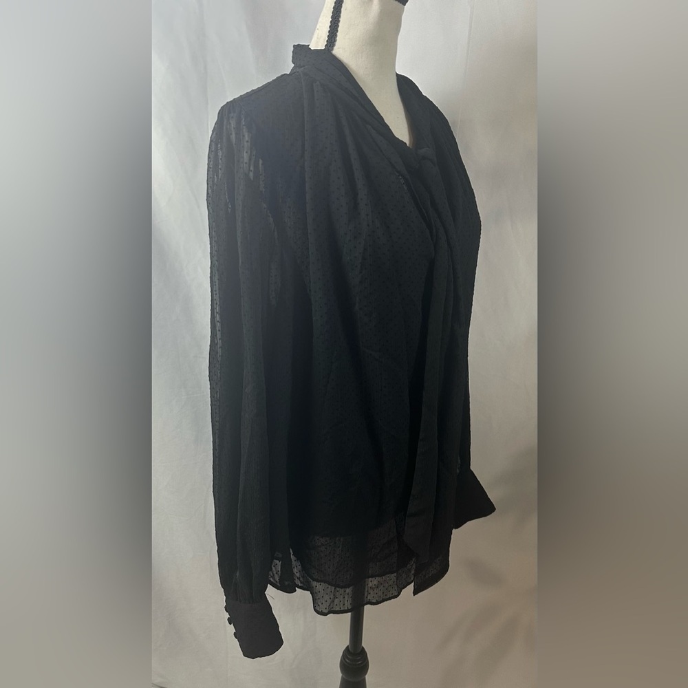 Elegant Black Sheer Blouse - Picture 4 of 9